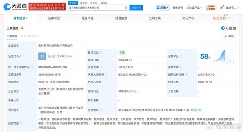 菜鳥網(wǎng)絡(luò)再布局物聯(lián)網(wǎng)賽道，同日成立兩家技術(shù)公司聚焦信息服務(wù)