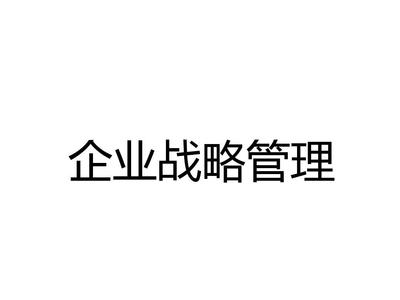 企業(yè)戰(zhàn)略管理. PPT課件